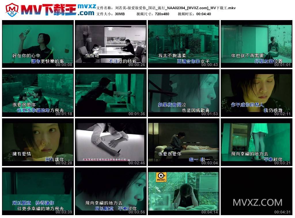 刘若英-很爱很爱你_国语_流行_NAA02394